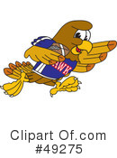 Falcon Character Clipart #49275 by Mascot Junction