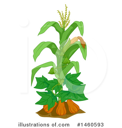 Royalty-Free (RF) Farming Clipart Illustration by BNP Design Studio - Stock Sample #1460593