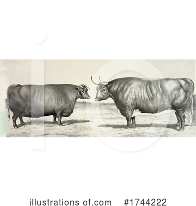 Livestock Clipart #1744222 by JVPD