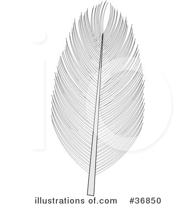 Royalty-Free (RF) Feather Clipart Illustration by OnFocusMedia - Stock Sample #36850