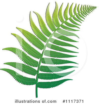 Royalty-Free (RF) Fern Clipart Illustration by Lal Perera - Stock Sample #1117371
