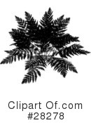 Fern Clipart #28278 by KJ Pargeter