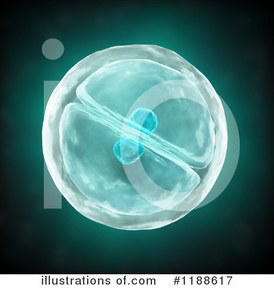 Royalty-Free (RF) Fertilization Clipart Illustration by Mopic - Stock Sample #1188617
