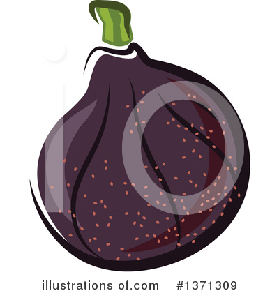 Fig Clipart #1371309 by Vector Tradition SM
