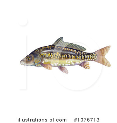 Royalty-Free (RF) Fish Clipart Illustration by JVPD - Stock Sample #1076713