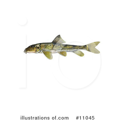 Royalty-Free (RF) Fish Clipart Illustration by JVPD - Stock Sample #11045