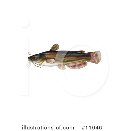Royalty-Free (RF) Fish Clipart Illustration by JVPD - Stock Sample #11046