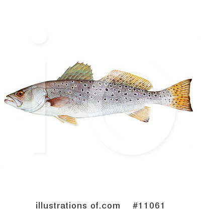 Fish Clipart #11061 by JVPD