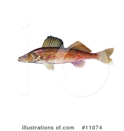 Royalty-Free (RF) Fish Clipart Illustration by JVPD - Stock Sample #11074