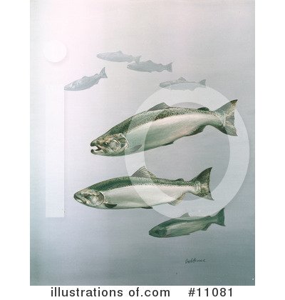 Royalty-Free (RF) Fish Clipart Illustration by JVPD - Stock Sample #11081