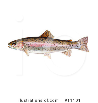 Fish Clipart #11101 by JVPD
