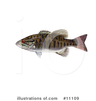 Royalty-Free (RF) Fish Clipart Illustration by JVPD - Stock Sample #11109