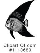 Fish Clipart #1113689 by Prawny Vintage