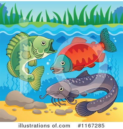 Salmon Clipart #1167285 by visekart