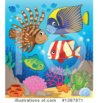 Starfish Clipart #1387871 by visekart