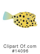 Fish Clipart #14096 by Rasmussen Images