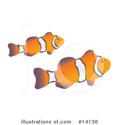 Anemone Fish Clipart #14136 by Rasmussen Images
