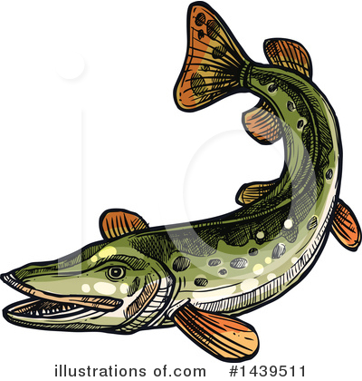 Pike Clipart #1439511 by Vector Tradition SM