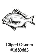 Fish Clipart #1680663 by patrimonio