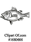 Fish Clipart #1680666 by patrimonio