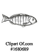Fish Clipart #1680689 by patrimonio