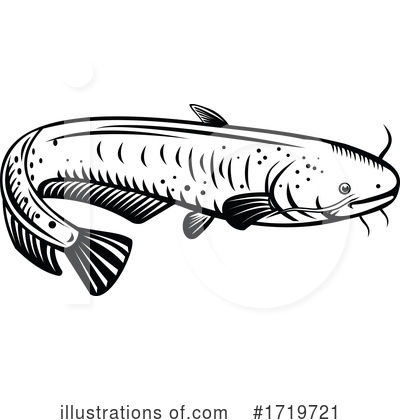 Catfish Clipart #1719721 by patrimonio