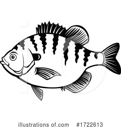 Royalty-Free (RF) Fish Clipart Illustration by patrimonio - Stock Sample #1722613