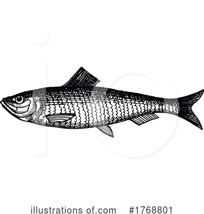 Royalty-Free (RF) Fish Clipart Illustration by Vector Tradition SM - Stock Sample #1768801