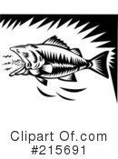 Fish Clipart #215691 by patrimonio