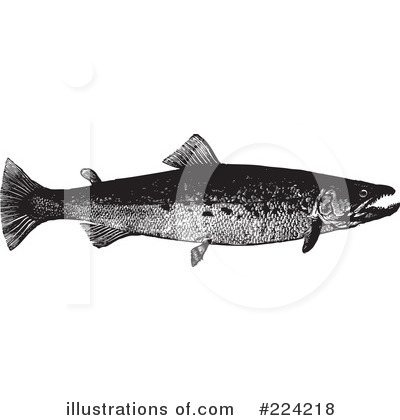 Royalty-Free (RF) Fish Clipart Illustration by BestVector - Stock Sample #224218