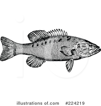Royalty-Free (RF) Fish Clipart Illustration by BestVector - Stock Sample #224219