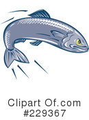 Fish Clipart #229367 by patrimonio