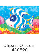 Fish Clipart #30520 by Alex Bannykh