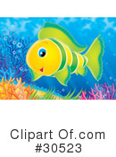 Fish Clipart #30523 by Alex Bannykh