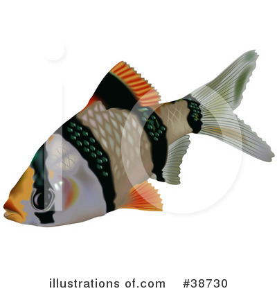 Royalty-Free (RF) Fish Clipart Illustration by dero - Stock Sample #38730
