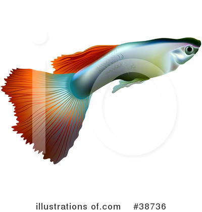 Royalty-Free (RF) Fish Clipart Illustration by dero - Stock Sample #38736