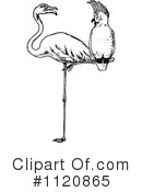 Flamingo Clipart #1120865 by Prawny Vintage