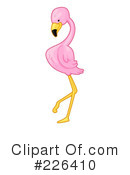 Flamingo Clipart #226410 by BNP Design Studio