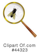 Flies Clipart #44323 by michaeltravers