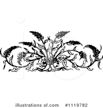 Botany Clipart #1119782 by Prawny Vintage
