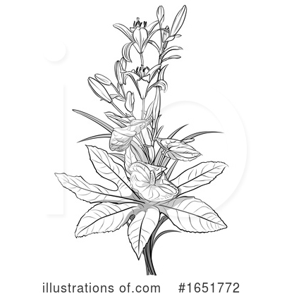 Royalty-Free (RF) Floral Clipart Illustration by dero - Stock Sample #1651772