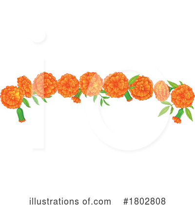 Marigold Clipart #1802808 by Vector Tradition SM