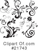 Floral Elements Clipart #21743 by OnFocusMedia