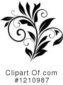 Flourish Clipart #1210987 by Vector Tradition SM