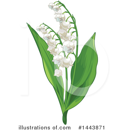 Royalty-Free (RF) Flower Clipart Illustration by Pushkin - Stock Sample #1443871