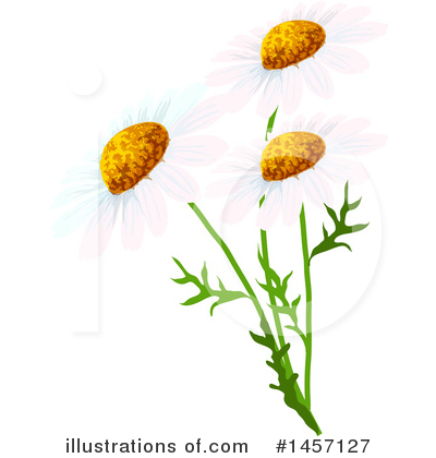 Royalty-Free (RF) Flower Clipart Illustration by Vector Tradition SM - Stock Sample #1457127