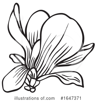 Royalty-Free (RF) Flower Clipart Illustration by Cherie Reve - Stock Sample #1647371