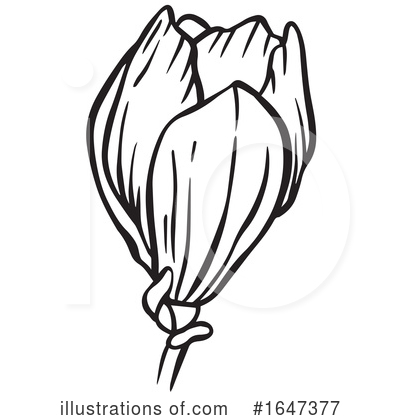 Royalty-Free (RF) Flower Clipart Illustration by Cherie Reve - Stock Sample #1647377
