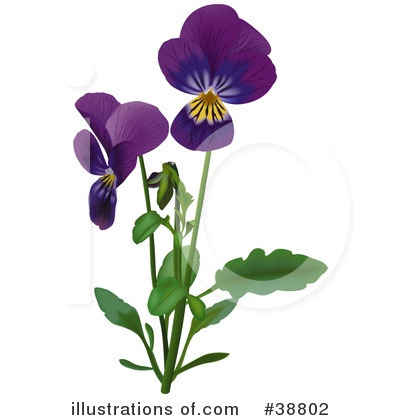 Violets Clipart #38802 by dero