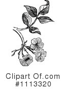 Flowers Clipart #1113320 by Prawny Vintage